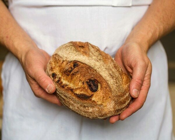 organic bread fig anise loaf held by baker