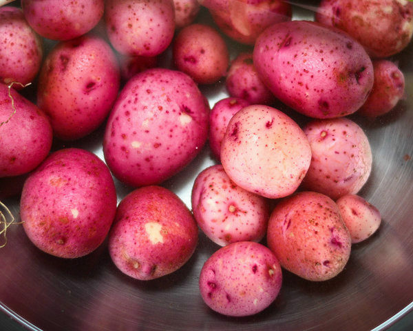 organic red potatoes