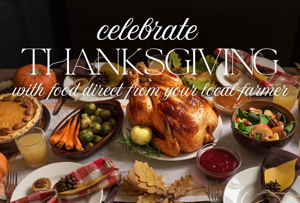 Copy of thanksgiving postcard (2775 x 1875 px)