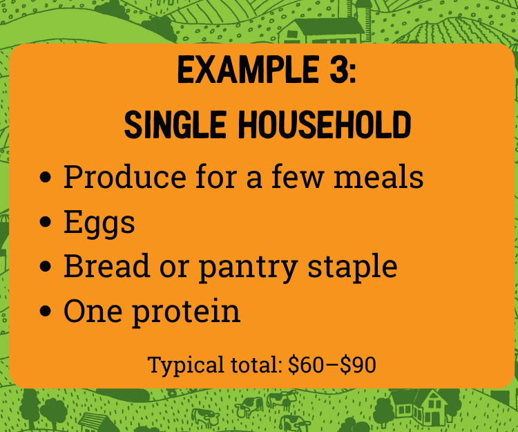 Example 3 single household  (1)