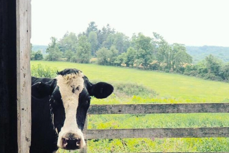 Ronnybrook pro pic 6x48 (2)