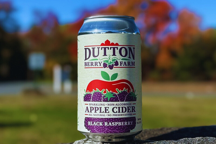 Dutton black raspberry 6x48