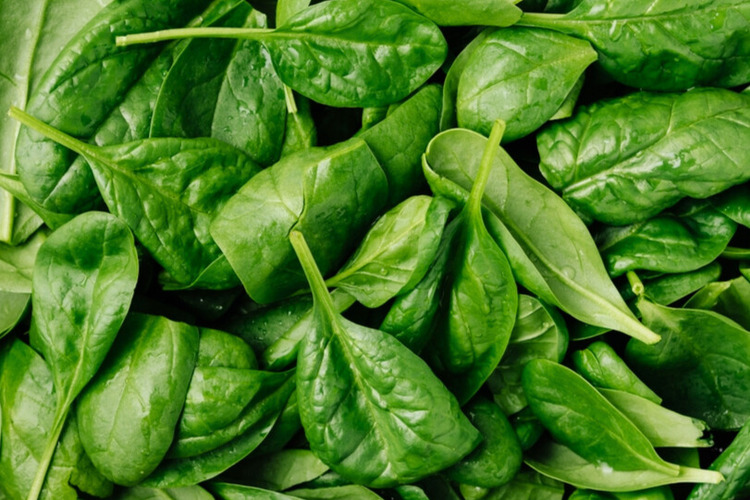 Spinach6x48