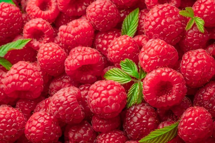 Ftw raspberries