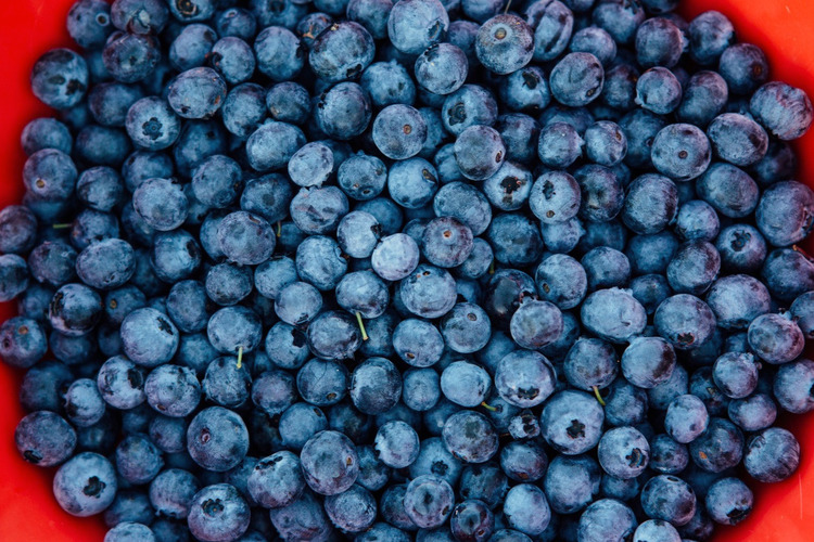 Ftw blueberries