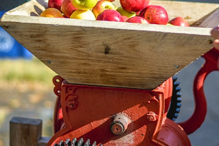 Ftw cider