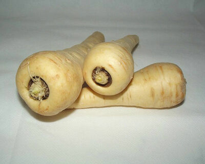 organic parsnip root vegetable