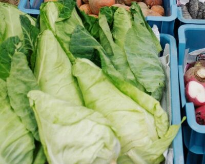 organic green arrowhead cabbage