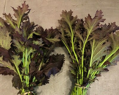 mizuna purple organic bunched greens asian