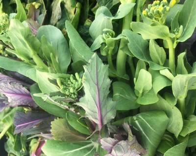 Chachi Rab Organic Spring Choi Raab
