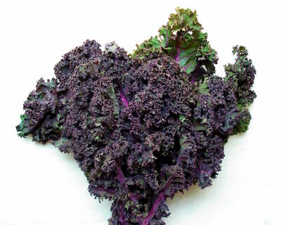 organic redbore kale