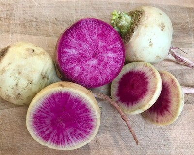 radish watermelon organic