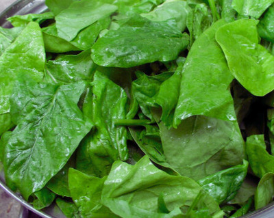 spinach large leaf 600x480