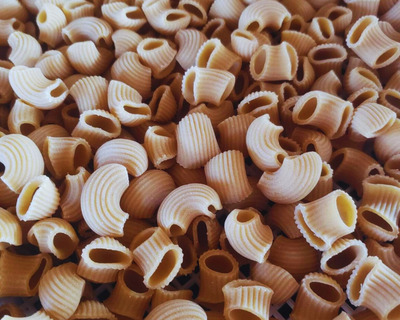 lumache fresh artisanal pasta