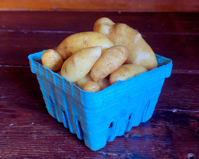 a pint of baby yellow fingerling potatoes