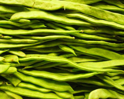 romano beans organic vermont
