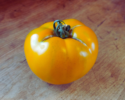 bright orange marmalade tomato on a wooden table