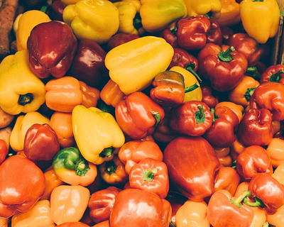 organic vermont grown sweet peppers