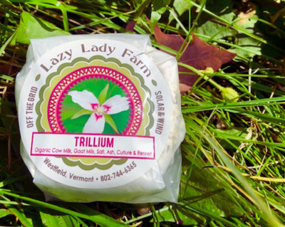 artisanal goat and cow milk cheese vermont
