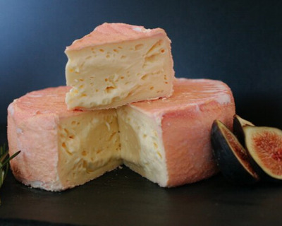 artisanal vermont made tomme cheese oma