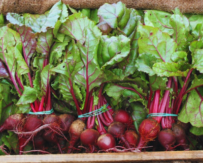bunched baby organic beets