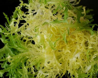 organic vermont grown frisee