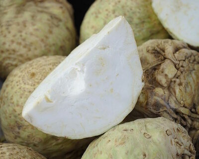 organic vermont grown celeriac