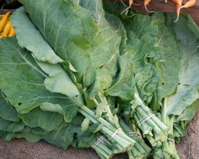 organic vermont collards
