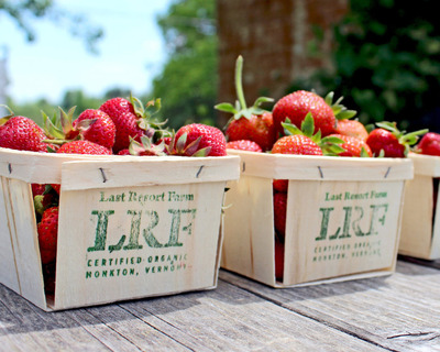 organic vermont grown strawberries