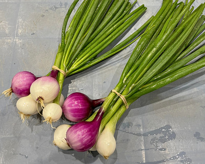 organic mixed fresh onions