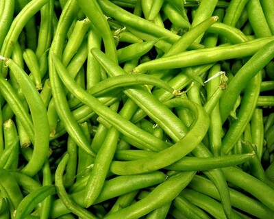 organic vermont grown green beans