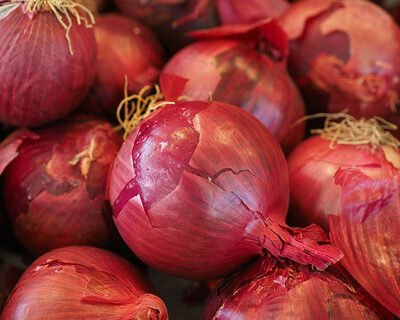 organic vermont grown red onions