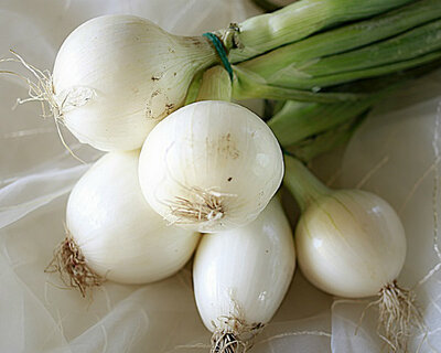 bunched yellow organic onions