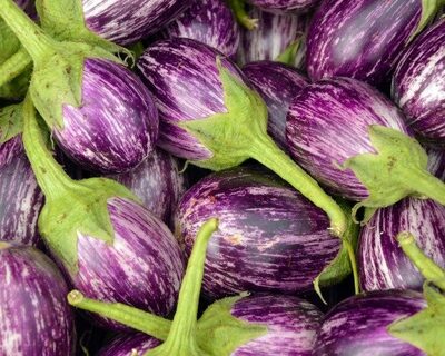 eggplantページ 814wcC9j19L._UF894,1000_QL80_.jpg