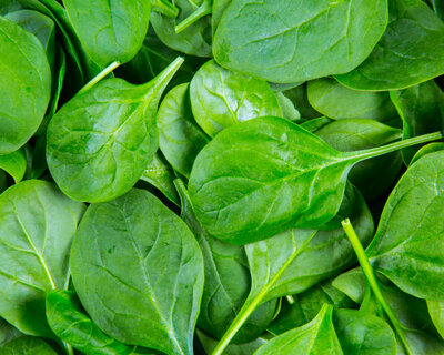 spinach leaves