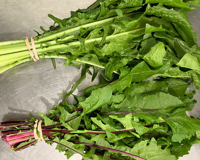 bunched organic dandelion