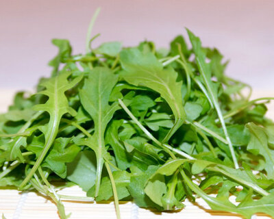 vermont grown organic baby arugula