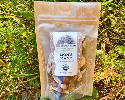 dried lion's mane mushrooms organic
