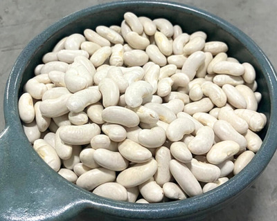 organic cannelini beans