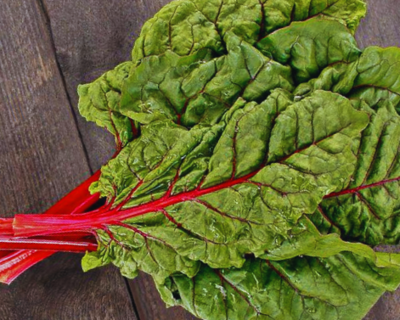 organic vermont grown red chard