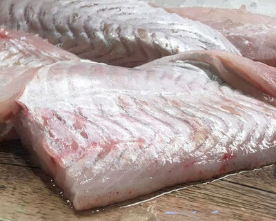 black sea bass line caught new england