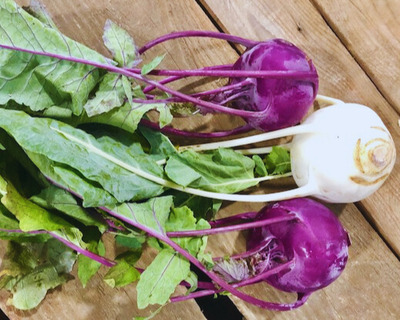 kohlrabi organic vermont