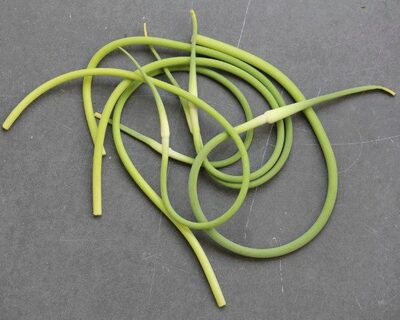 organic vermont garlic scapes