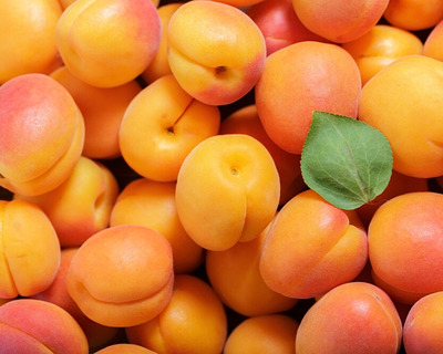 fresh apricots