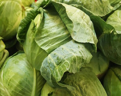 organic green cabbage