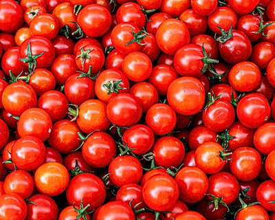 cocktail tomatoes organic vermont