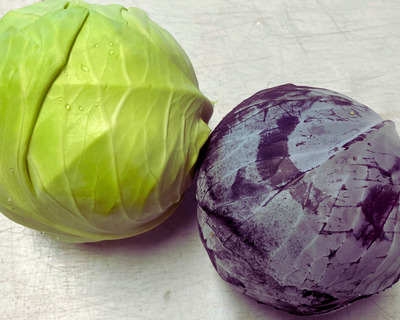 a pari of organic vermont grown cabbages