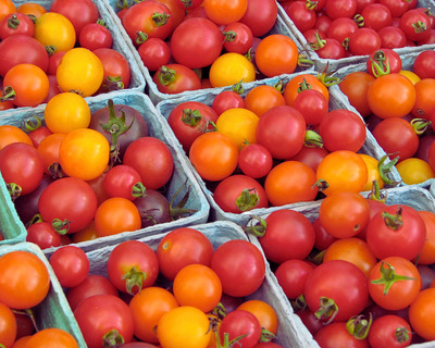 organic vermont grown cherry tomatoes