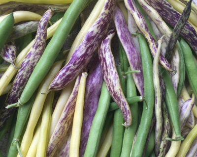 organic mixed string beans