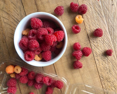 organic vermont grown raspberries